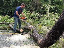 Best Seasonal Cleanup (Spring/Fall)  in Ridgefield, NJ